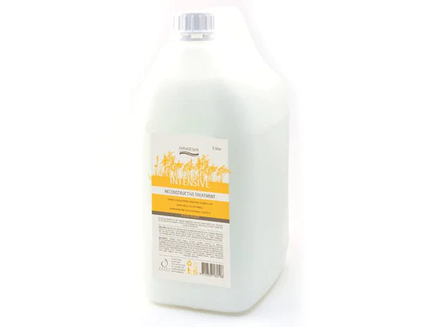 Natural Look Intensive Reconstructive Treatment 5l